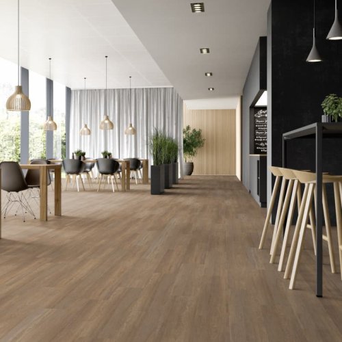Expona Clic 19 dB 9036 Treehouse Oak