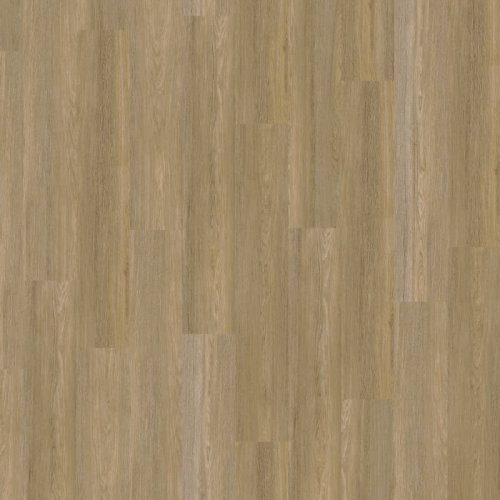 Expona Clic 19 dB 9036 Treehouse Oak