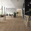 Expona Clic 19 dB 9036 Treehouse Oak