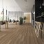 Expona Clic 19 dB 9037 Shingle Oak