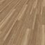 Expona Clic 19 dB 9027 Eden Ash
