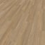 Expona Clic 19 dB 9036 Treehouse Oak